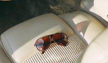 Load image into Gallery viewer, Aviator Polarized in Demi-Tortoise