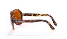 Load image into Gallery viewer, Original Aviator in Demi-Tortoise